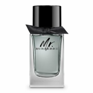 Burberry Mr Burberry