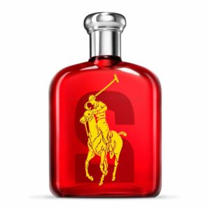 Ralph Lauren Big Pony 2