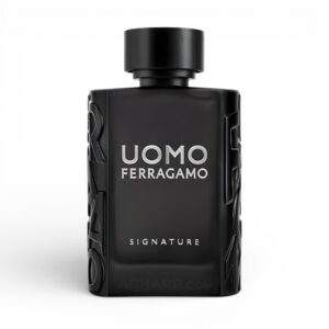 Salvatore Ferragamo Uomo Signature